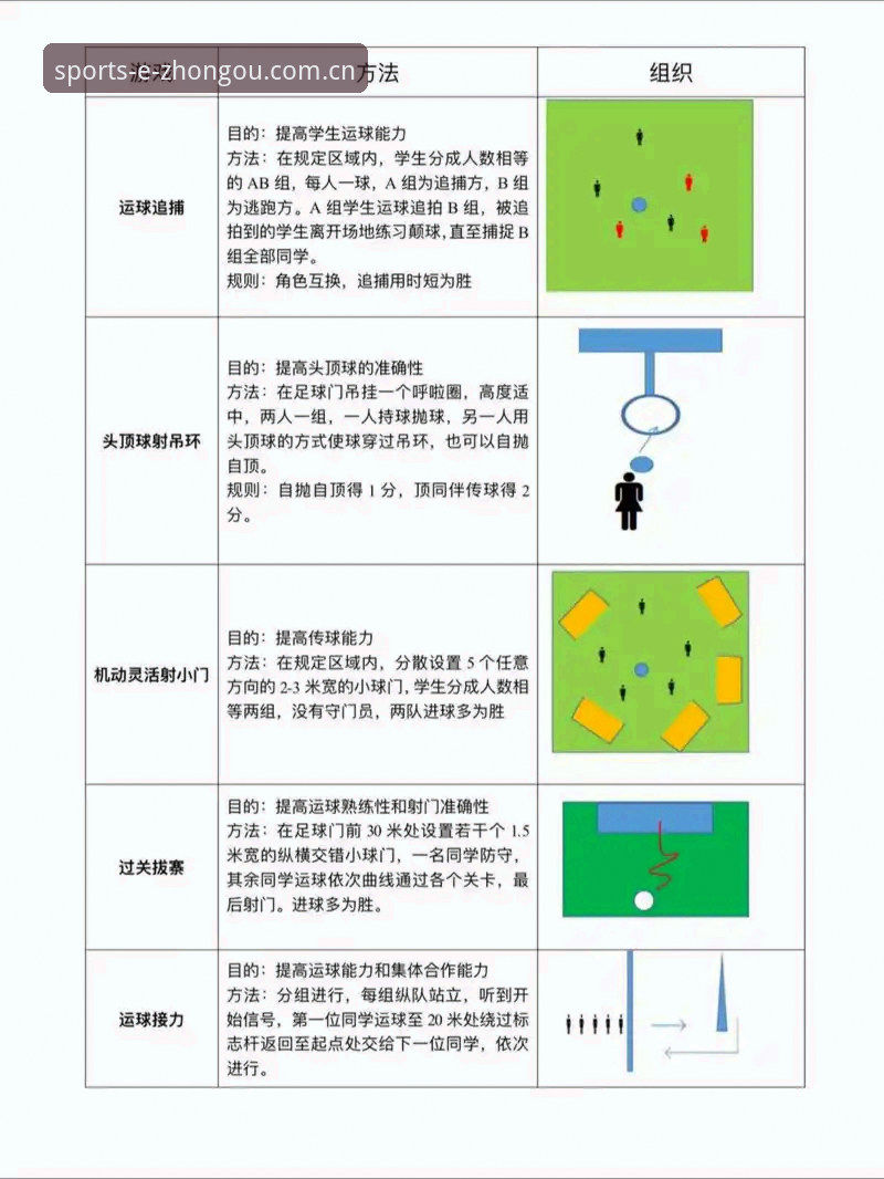 中欧体育玩法介绍 从菜鸟到老手:我的中欧体育玩法实战心得与完整指南
